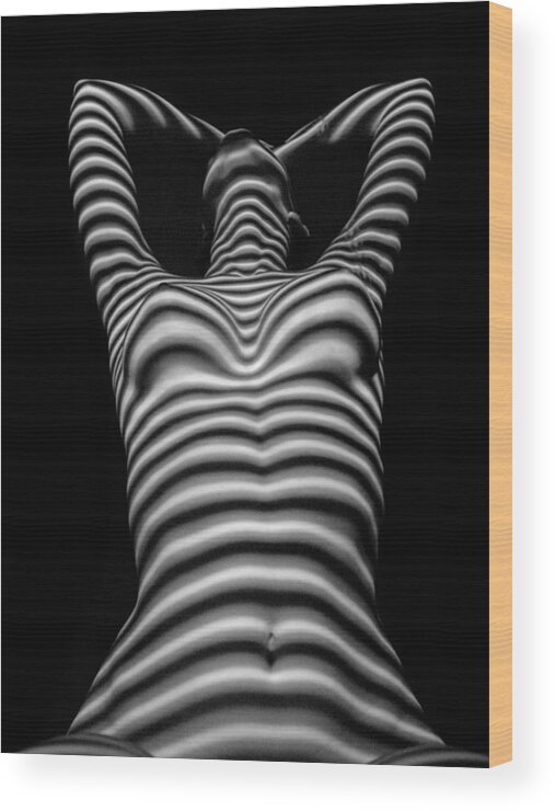 Window Blinds Wood Print featuring the photograph 1120 Zebra Woman Stripe Series by Chris Maher