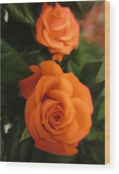 Flowerromance Wood Print featuring the photograph Orange delight #2 by Rosita Larsson