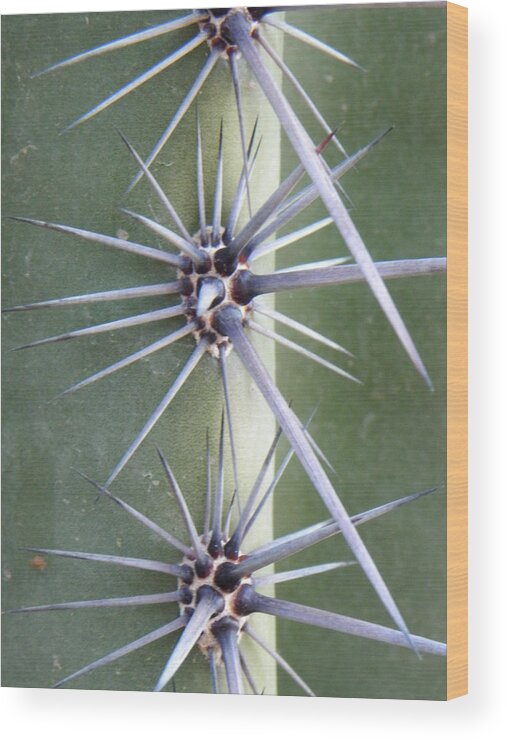 Cactus Wood Print featuring the photograph Cactus Thorns #3 by Deb Halloran