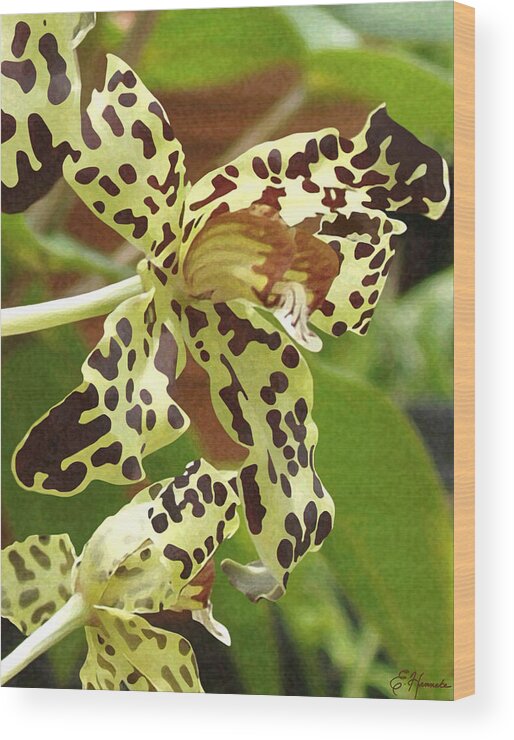 Leopard Orchids Wood Print featuring the painting Leopard Orchids by Ellen Henneke