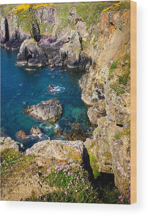 Armeria Maritima Wood Print featuring the photograph St Non's Bay Pembrokeshire by Mark Llewellyn
