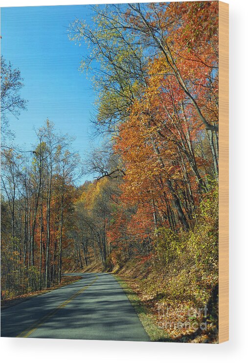 Scenic Tours Wood Print featuring the photograph A Country Road by Skip Willits