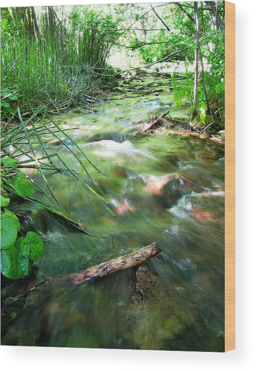 Flowing River Wood Print featuring the photograph A River Runs Through by Lisa Chorny