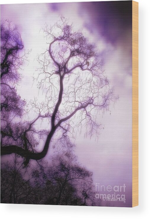Popular Wood Print featuring the photograph Aloft by Heather King
