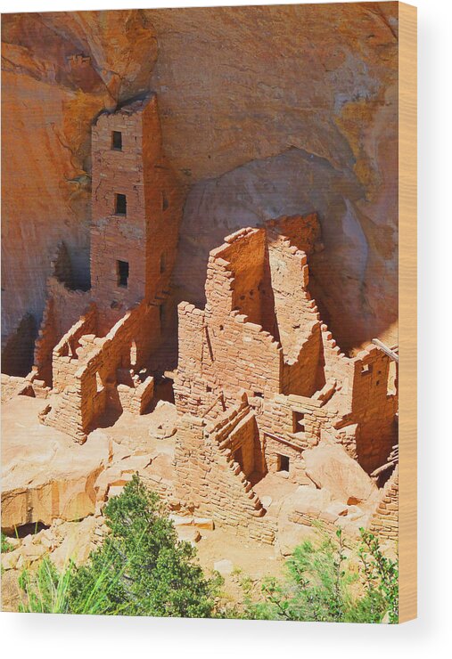 Ancient Wood Print featuring the photograph Ancient Dwelling by Alan Socolik