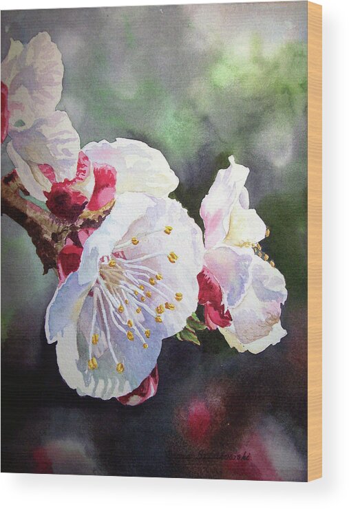Apricot Wood Print featuring the painting Apricot Flowers by Irina Sztukowski