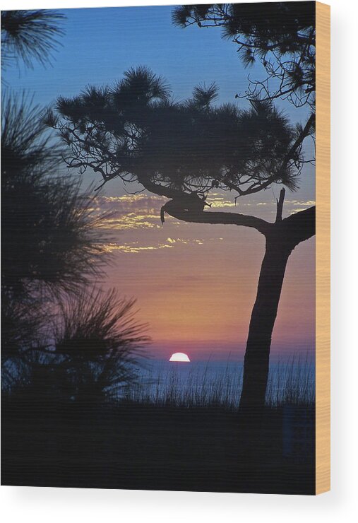 Sun Wood Print featuring the photograph As the Sun Goes Down by Jennifer Robin