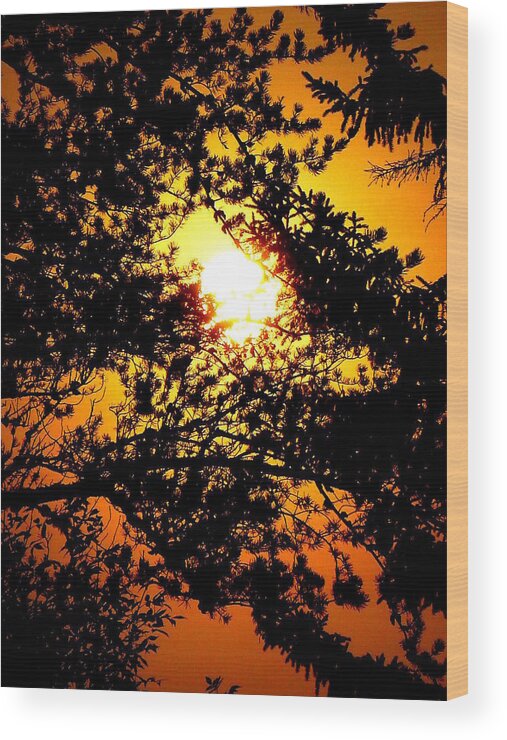 Sunrise Wood Print featuring the photograph August Sunrise by Wild Rose Studio