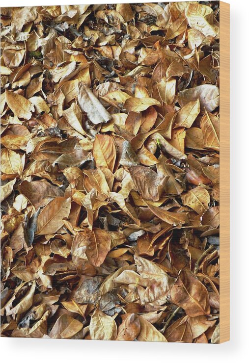 Leaf Wood Print featuring the photograph Autumn Leaves by Ian Gowland