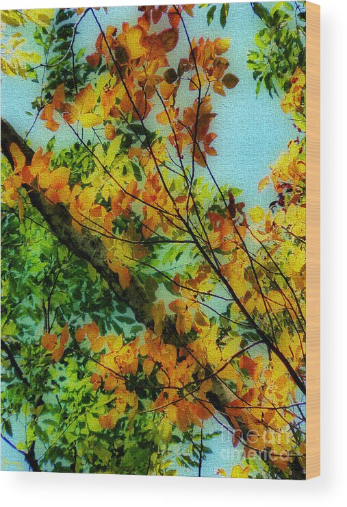 Fall Wood Print featuring the photograph Autumn Scenery by Jeff Breiman
