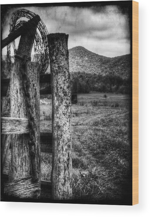 Hope Wood Print featuring the photograph Barrier by Greg and Chrystal Mimbs