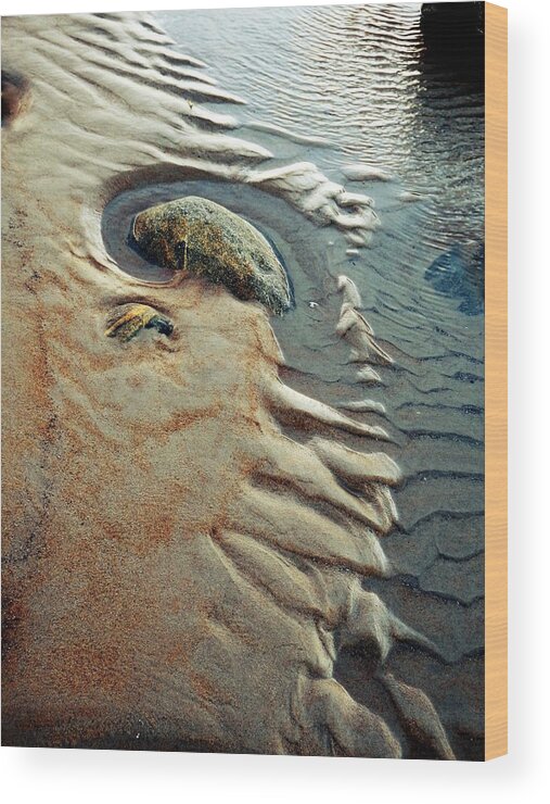 Marcia Lee Jones Wood Print featuring the photograph Beach Dreaming lll by Marcia Lee Jones