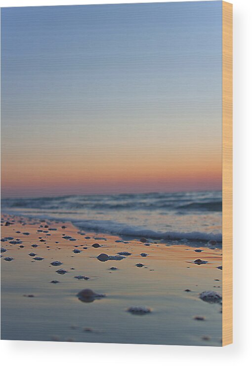 Sunset Wood Print featuring the photograph Beach Sunset by Dart Humeston