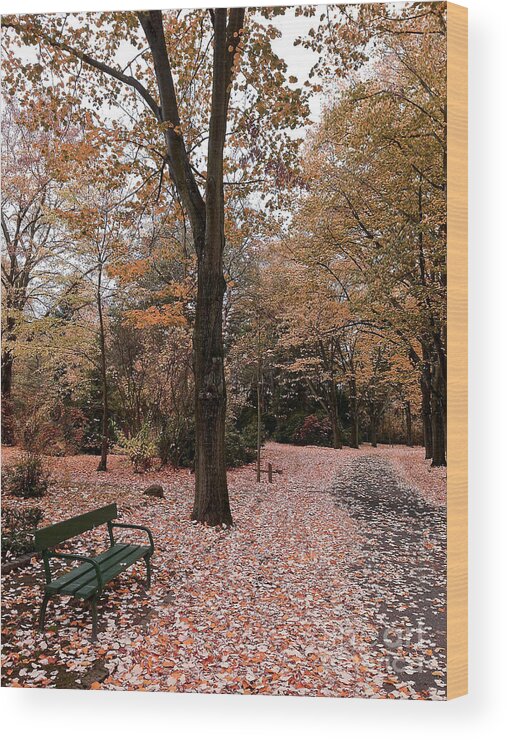 Fall Wood Print featuring the photograph Bench in the park by Ivy Ho