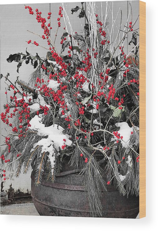 Red Berries Wood Print featuring the photograph Berries and Pines in Old Metal Pot by Janice Drew