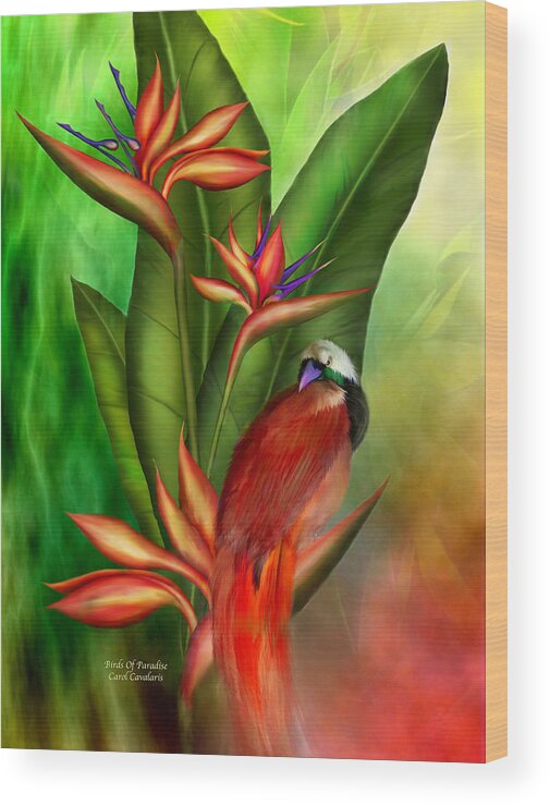 Bird Of Paradise Plant Wood Print featuring the mixed media Birds Of Paradise by Carol Cavalaris