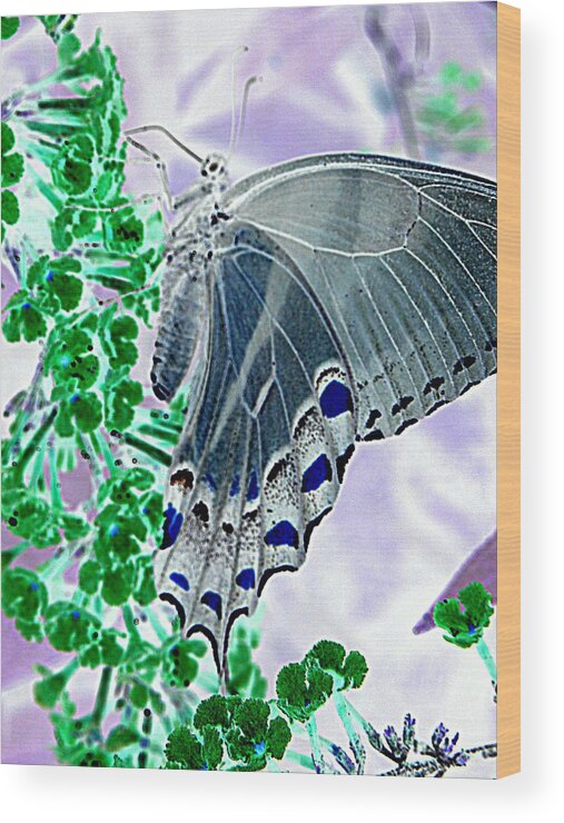 Flower Wood Print featuring the photograph Black Swallowtail Abstract by Kim Galluzzo