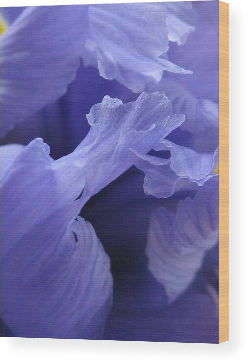 Blue Wood Print featuring the photograph Blue Fantasy by Carolyn Jacob