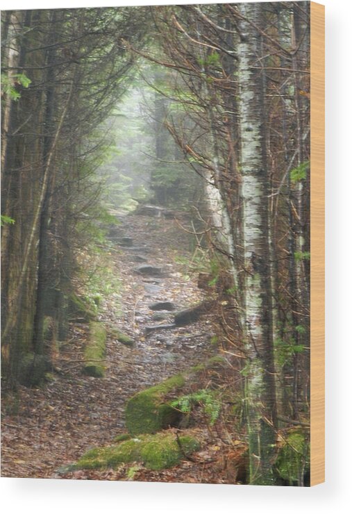 Nature Wood Print featuring the photograph Blue Ridge Trail by Deborah Ferree