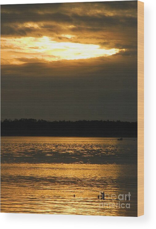 Nature Wood Print featuring the photograph Bright Peacefulness by Gallery Of Hope 