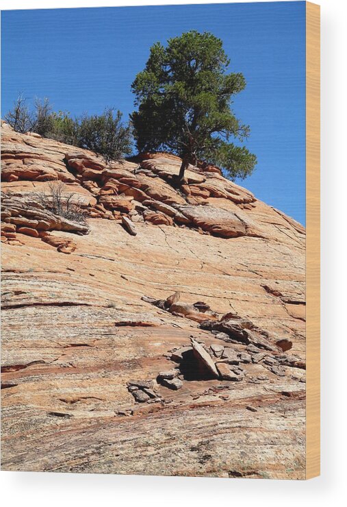 Bryce Canyon Wood Print featuring the photograph Bryce Canyon 336 by Maria Huntley