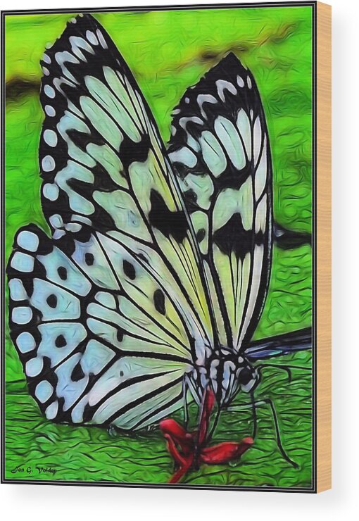 Butterfly Wood Print featuring the painting Butterfly on A Lily Pad by Jon Volden