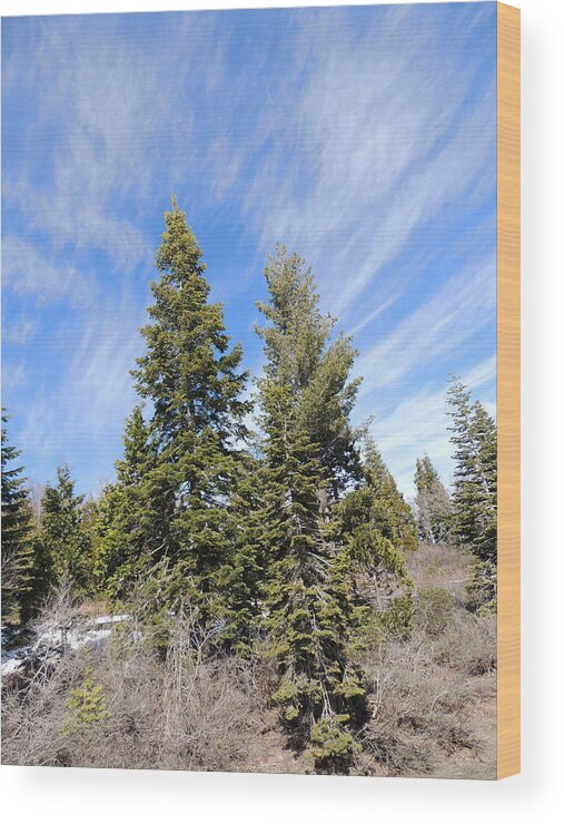 California Wood Print featuring the photograph Ca I-80 0313 3343 by Andrew Chambers