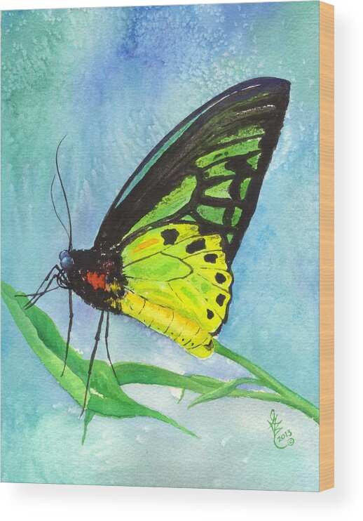 Australia Wood Print featuring the painting Cairns Birdwing by Gale Cochran-Smith