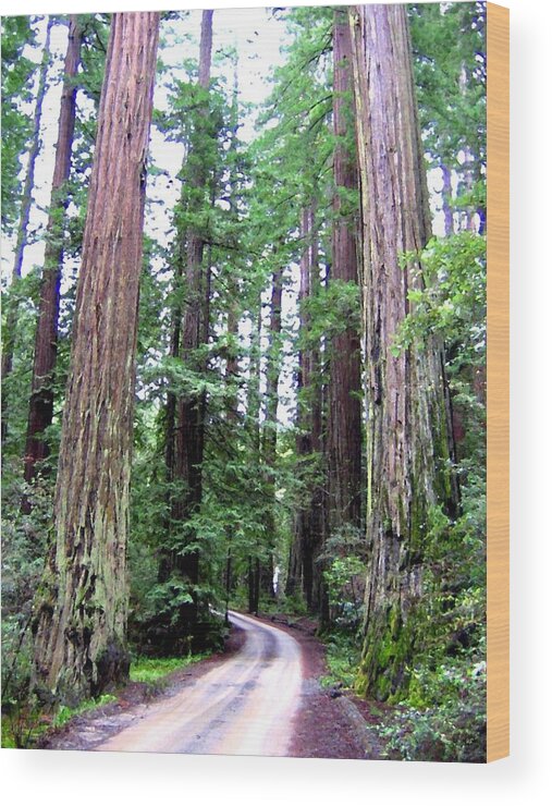 California Redwoods 1 Wood Print featuring the digital art California Redwoods 1 by Will Borden