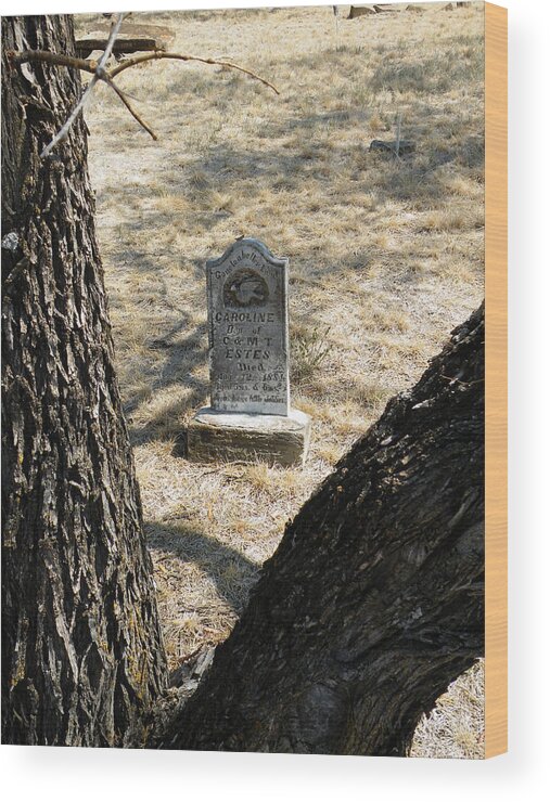 Callahan Wood Print featuring the photograph Callahan City Texas Cemetery Gone To A Better Land by The GYPSY