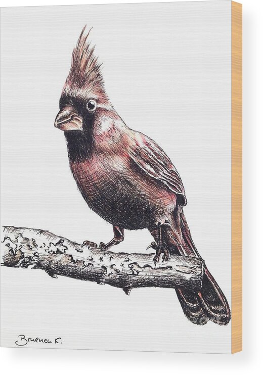 Ink Sketch Wood Print featuring the drawing Cardinal male by Katharina Bruenen