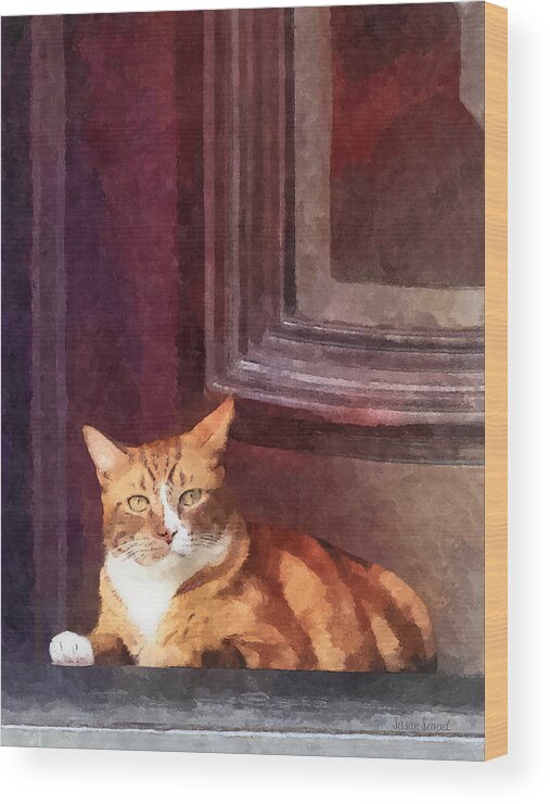 Cat Wood Print featuring the photograph Cats - Orange Tabby in Doorway by Susan Savad