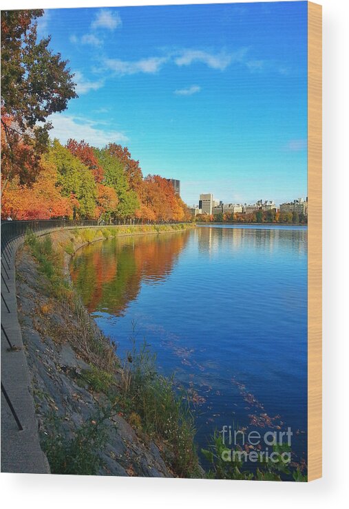 Autumn Wood Print featuring the photograph Central Park Autumn Landscape by Charlie Cliques