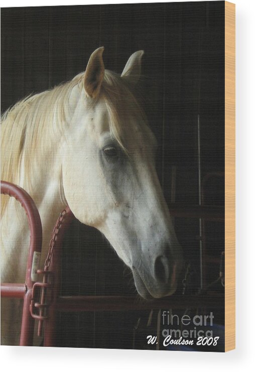 Horse Wood Print featuring the photograph Choomook by Wendy Coulson