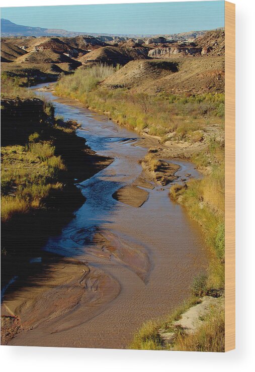 Landscape Wood Print featuring the photograph Colorado River View by Eva Kato