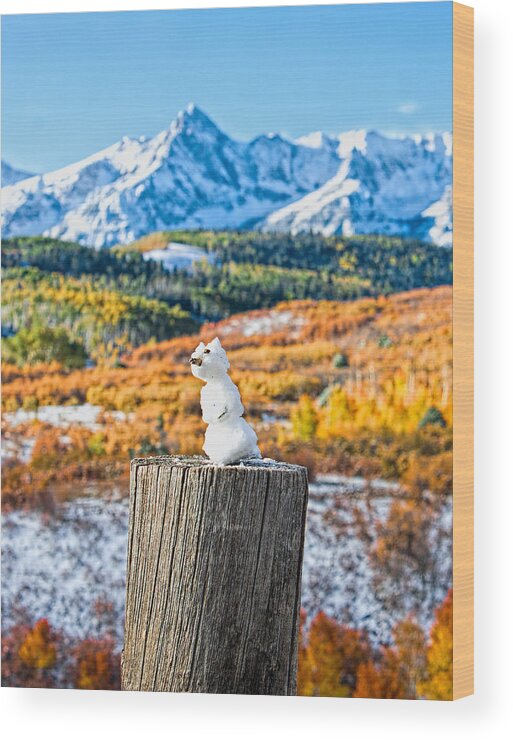 Autumn Wood Print featuring the photograph Colorful Snow Cat by Rick Wicker
