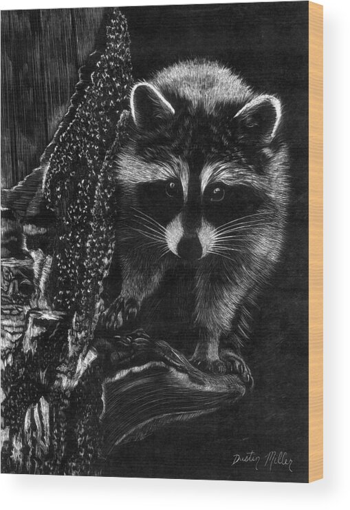 Art Wood Print featuring the drawing Curious Raccoon by Dustin Miller