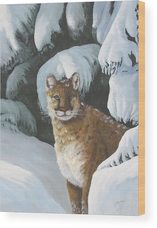 North American Wildlife Wood Print featuring the painting Curious Watcher - Cougar by Johanna Lerwick