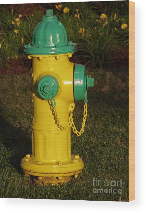 Fire Hydrant Wood Print featuring the photograph Dawgs Best Friend... by George DeLisle