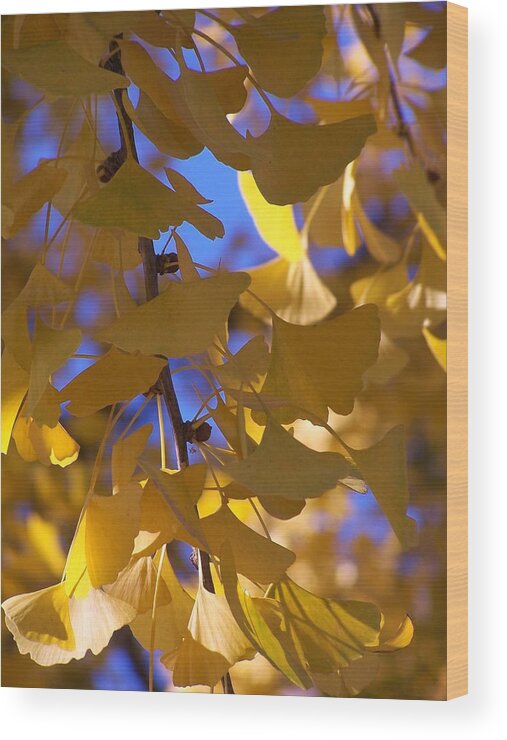 Yellow Wood Print featuring the photograph Delicate yellow by Jewels Hamrick