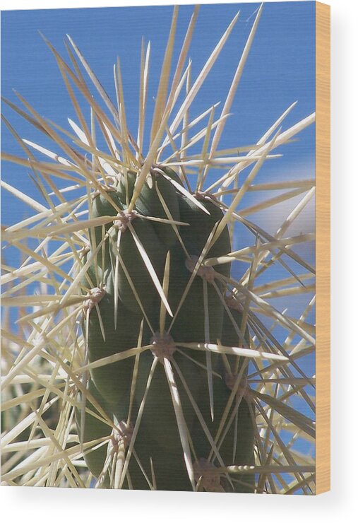 Cactus Wood Print featuring the photograph Desert Cactus by Jewels Hamrick