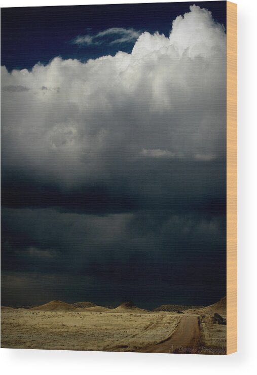 Prescott Wood Print featuring the photograph Developing Rural Storms by Aaron Burrows