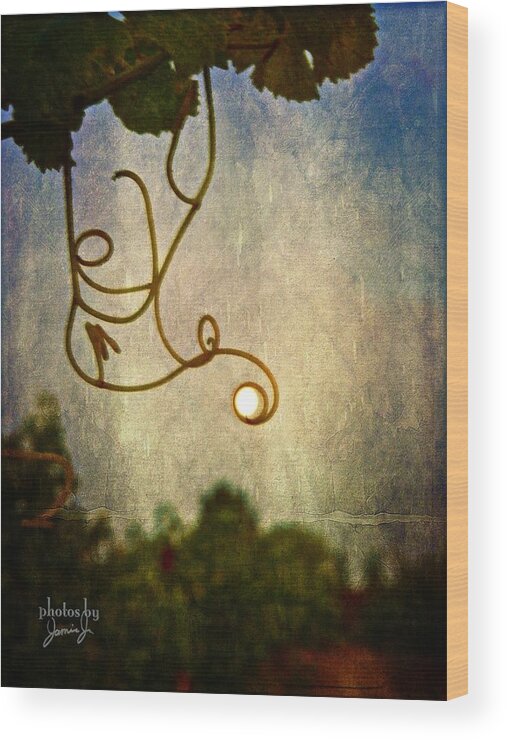 Wines Wood Print featuring the photograph Dionysus by Jamie Johnson