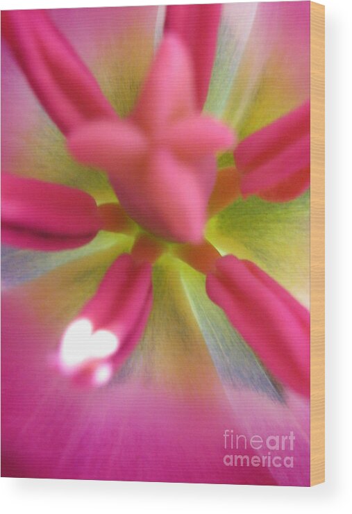 Flower Wood Print featuring the photograph Divine Intervention Photography by Holy Hands