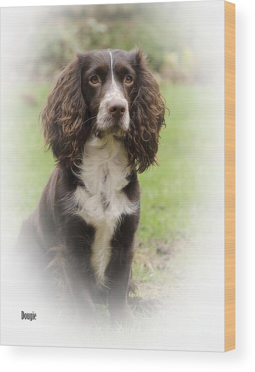 Dog Wood Print featuring the photograph Dougie In Vignette by Linsey Williams