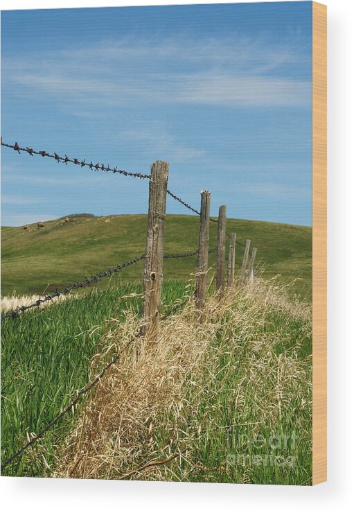 Fence Wood Print featuring the photograph Fence in the Foothills by Vivian Christopher