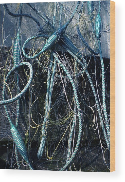 Colette Wood Print featuring the photograph Fishing Net play  by Colette V Hera Guggenheim