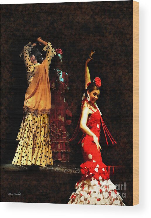 Flamenco Series Wood Print featuring the photograph Flamenco Series #6 by Mary Machare