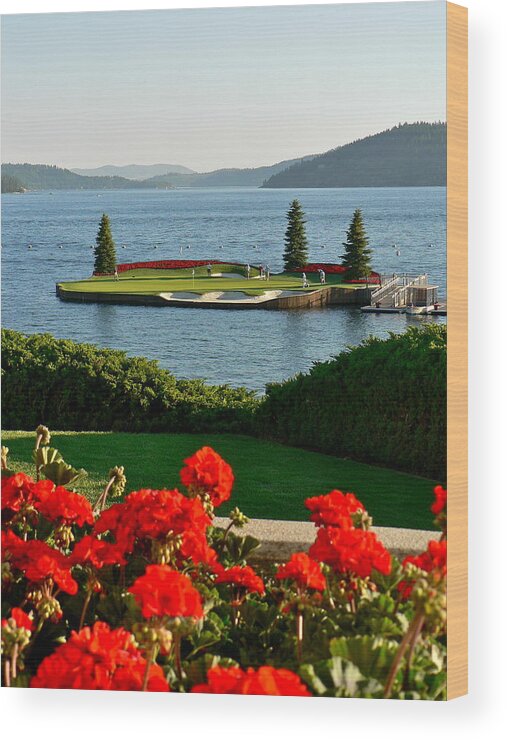Golf Wood Print featuring the photograph Floating Green by Jean Wright