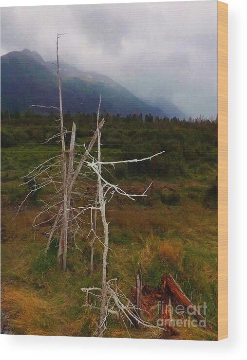 Alaska Wood Print featuring the photograph Fog rolling in over mountains by Brigitte Emme